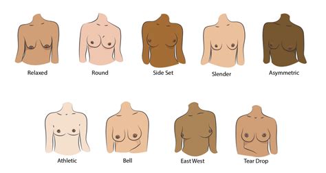 pictures of boobs|Breast Shape 101: Exploring the Seven Most Common Types